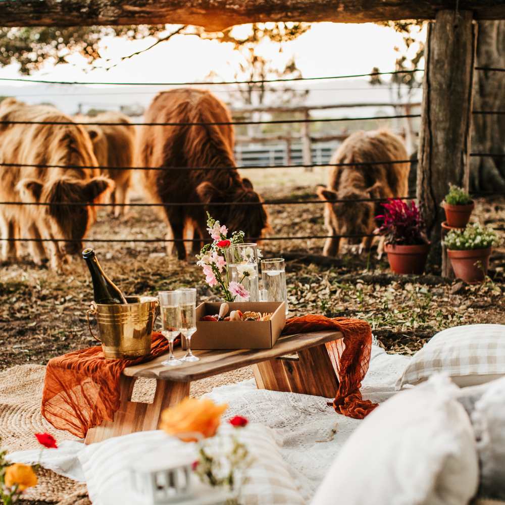 Elopement & Picnic Packages 2025