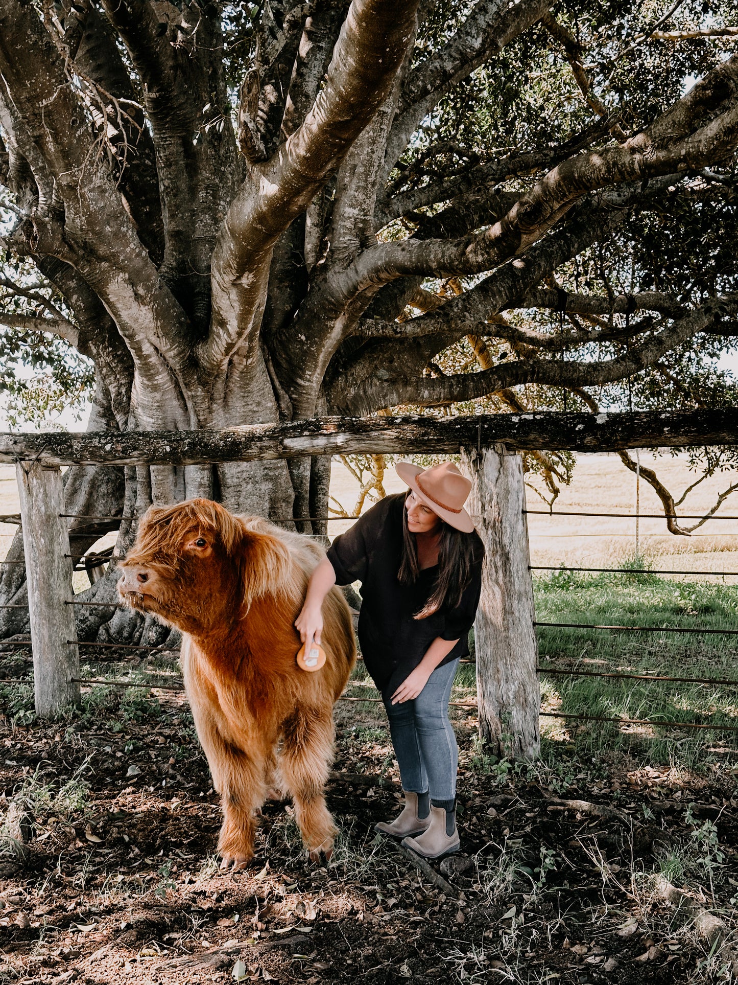 A Bush Christmas with Purpose - Group booking
