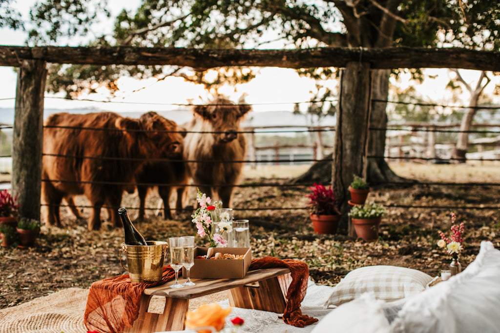 Romantic Picnic and Highland Experience ( 2 hours)