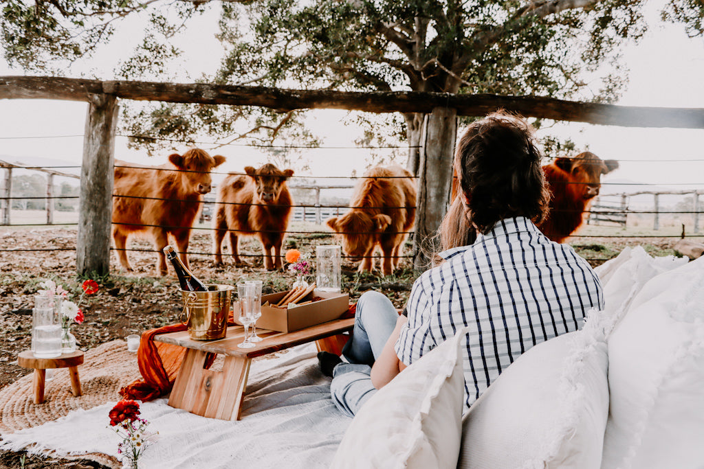 Romantic Picnic and Highland Experience ( 2 hours)